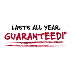 Mead Five Star Flex 1-Subject Hybrid Notebook Binder, 8 1/2" X 11", College Ruled, 80 Sheets, Assorted Colors (08120) -Office Supplies Shop 1390DDB1 BE65 406F 90CC9B28D1B1698D sc7