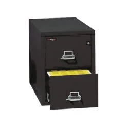 FireKing 1-Hour 2-Drawer 31" Letter Fire Resistant Vertical Cabinet, Black