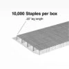 TRU RED™ Premium Staples, 1/4" Leg Length, 10000 Staples/Box (TR58089)
